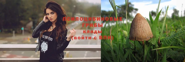 скорость Алексеевка