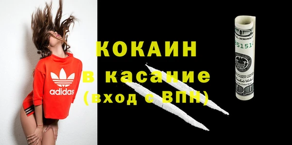 индика Армянск