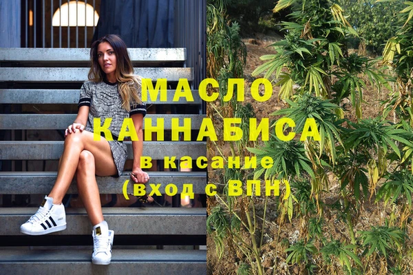 индика Армянск