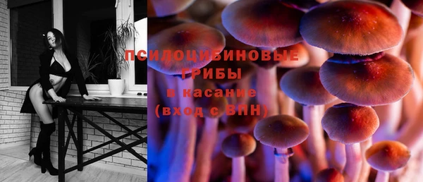 сатива Аркадак