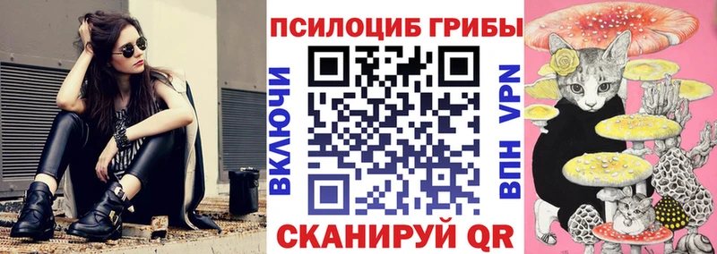 Псилоцибиновые грибы GOLDEN TEACHER Кондопога